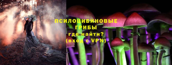 Альфа ПВП Козельск