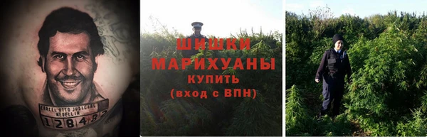 ГАЛЛЮЦИНОГЕННЫЕ ГРИБЫ Костерёво