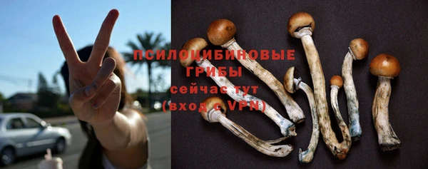 мдпв Корсаков