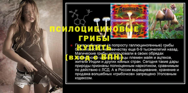 тгк Янаул